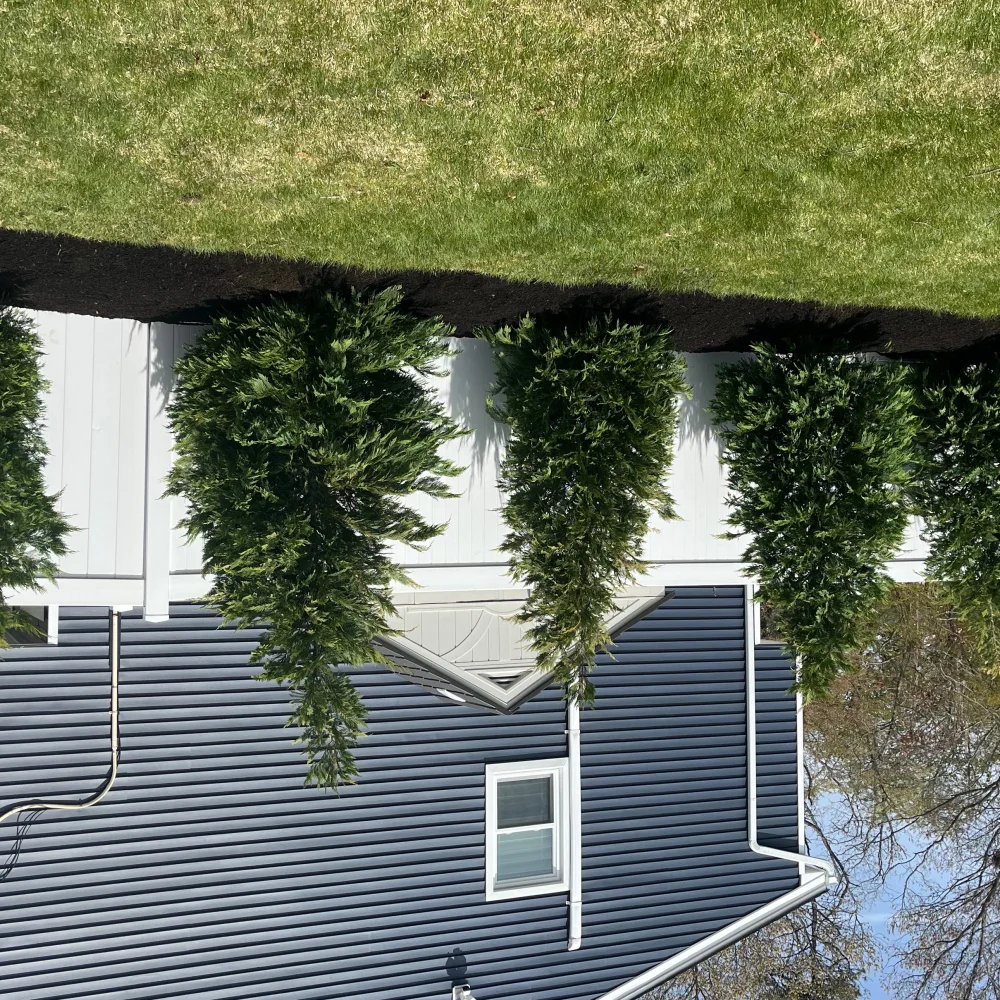 Leo AA LI Landscaping Service