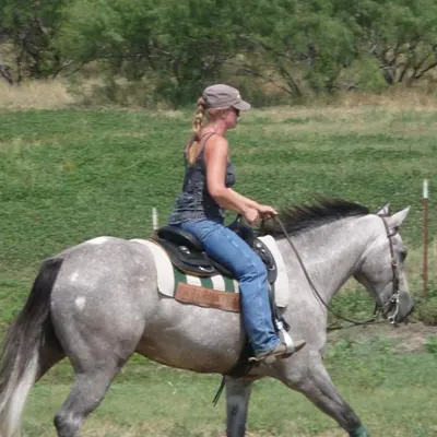 VLH Horsemanship