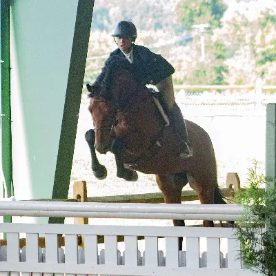 NH Equestrian