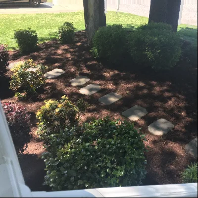 Skw Affordable Landscaping