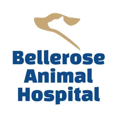 Bellerose Animal Hospital