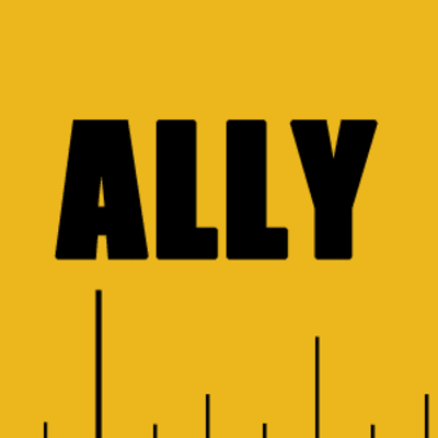Ally Handyman