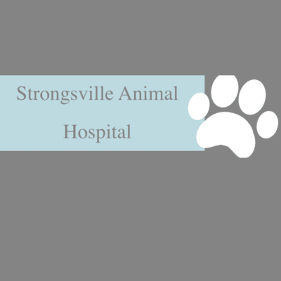 Strongsville Animal Hospital