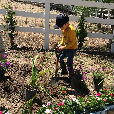 PONCE LANDSCAPING