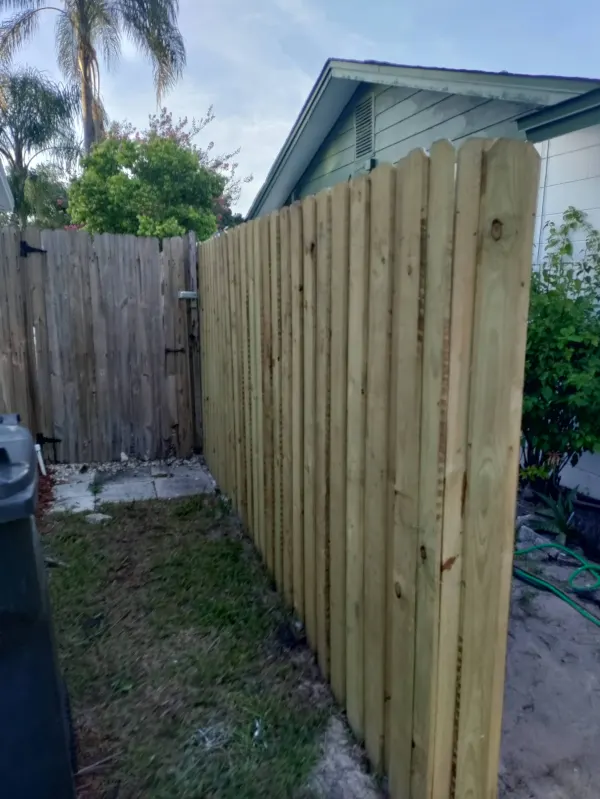New fence