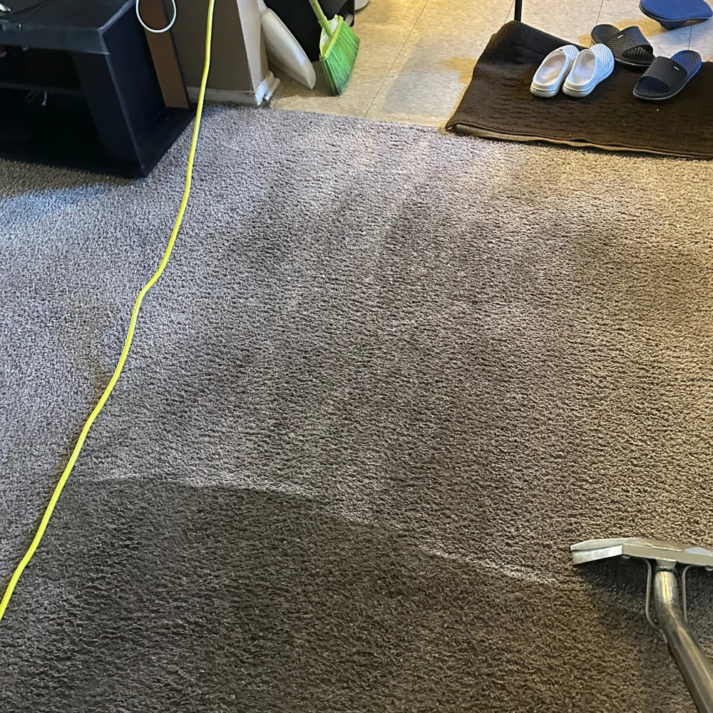 Alscarpetcleaning