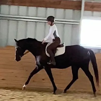 Marlboro Ridge Equestrian Center
