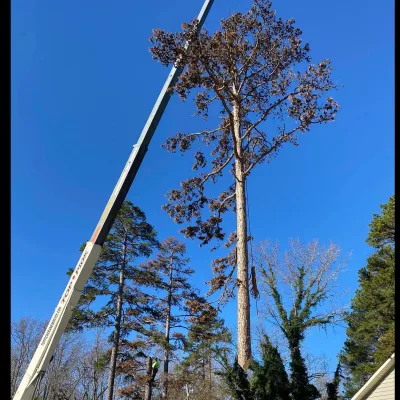 Crabtree Tree Service 