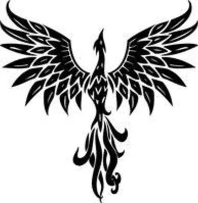 Rising Phoenix Martial Arts