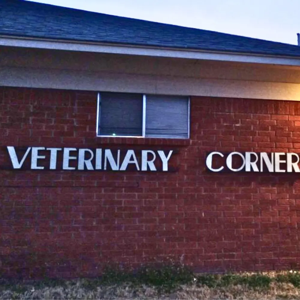 Veterinary Corner