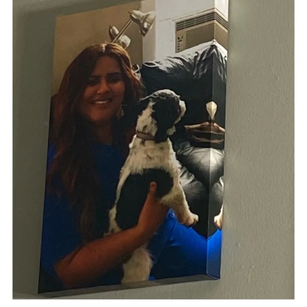 Rodrigues Pet Grooming