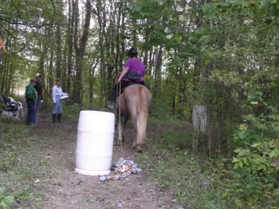 Devine Gaits Farm