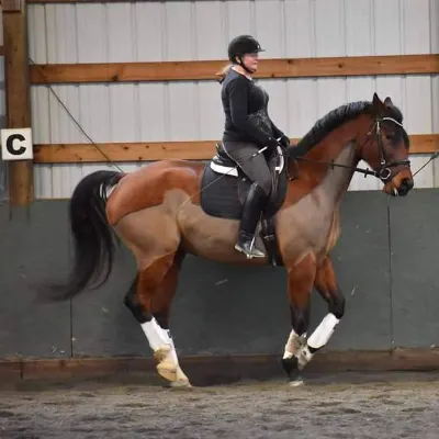 Doolittle Dressage