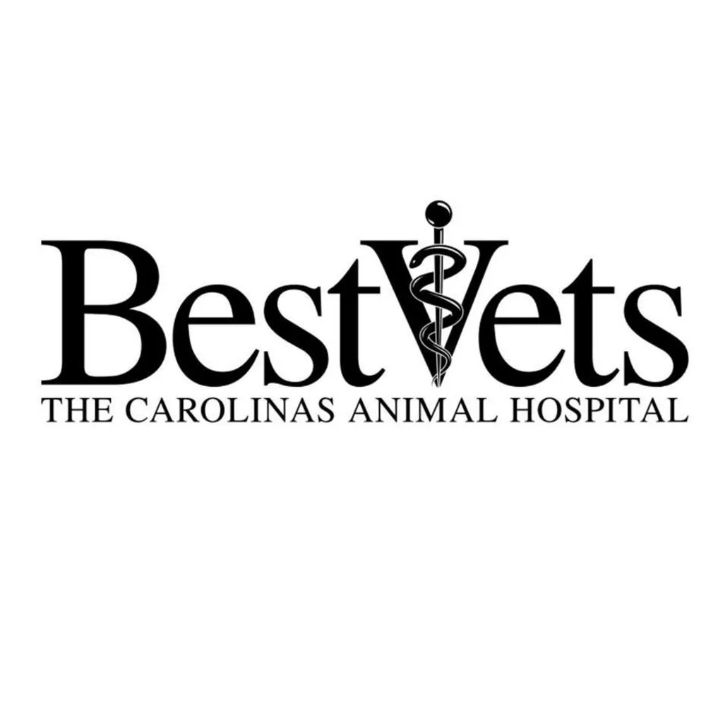 The Carolinas Animal Hospital And Dental Clinic
