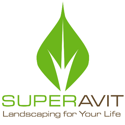 SuperAvit Services