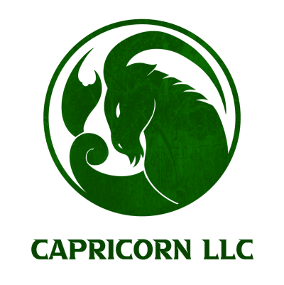 Capricorn LLC