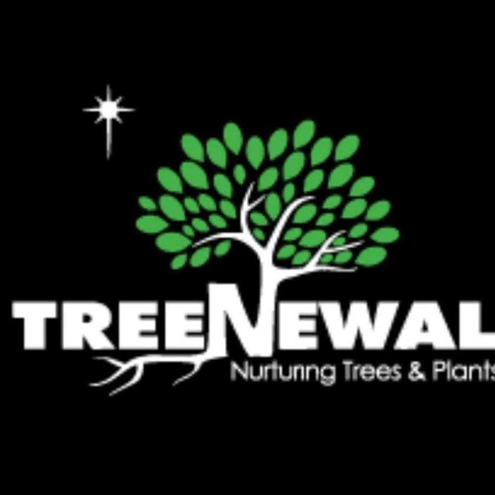 TreeNewal, Certified Arborist