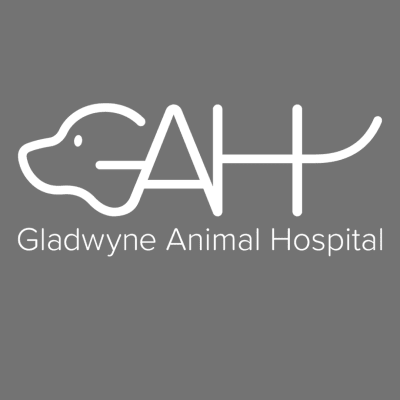 Gladwyne Animal Hospital