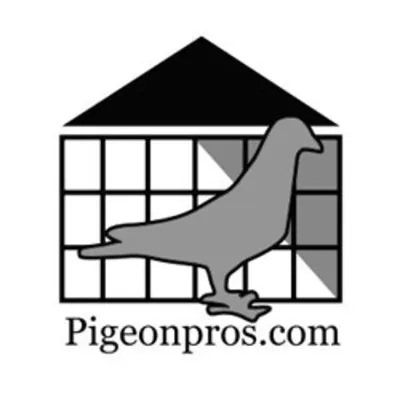 Pigeonpros