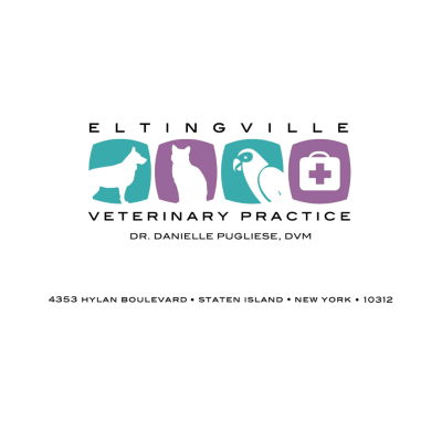 Eltingville Veterinary Practice