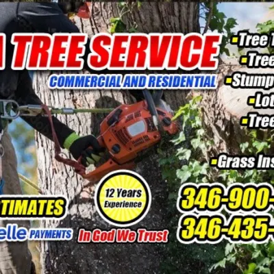 V&A Tree Service