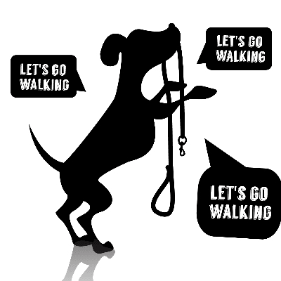 Vivi Walks And Pet Sits