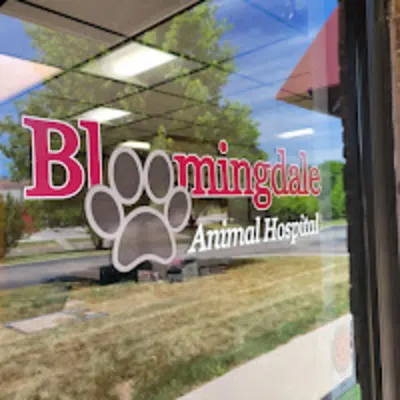 Bloomingdale Animal Hospital