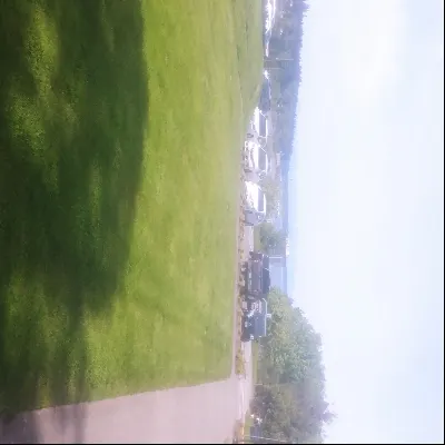 The Estevez Landscaping