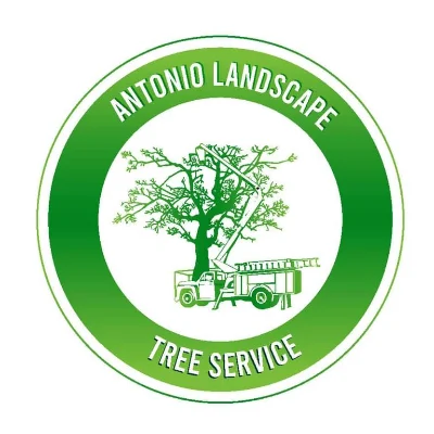 Antonio Landscaping Services LLC