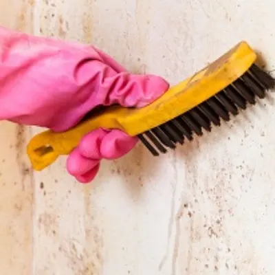 Mold Experts Of Charlotte