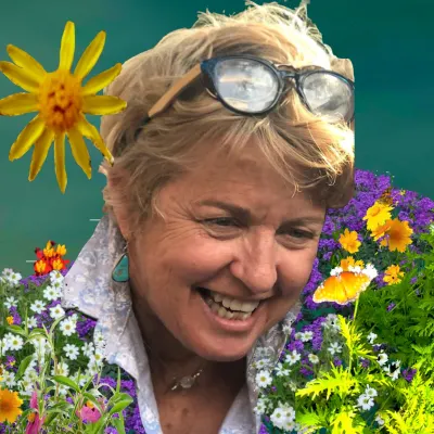 Kimberley Hinton, Terra Bella