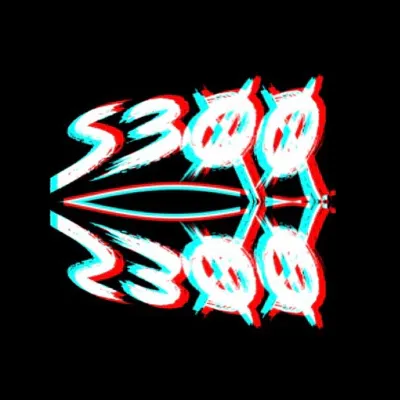 S300 Training