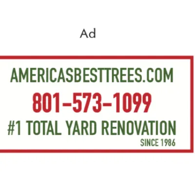AAAAA _&  America's Best Tree Experts Hauling Demolition Land Clearing. &  TOTAL. #1. YARD. RENOVATION.  😎