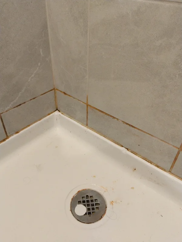 Before Grout