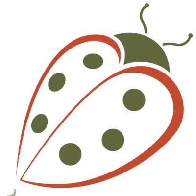 Ladybug Child Care Centers Inc