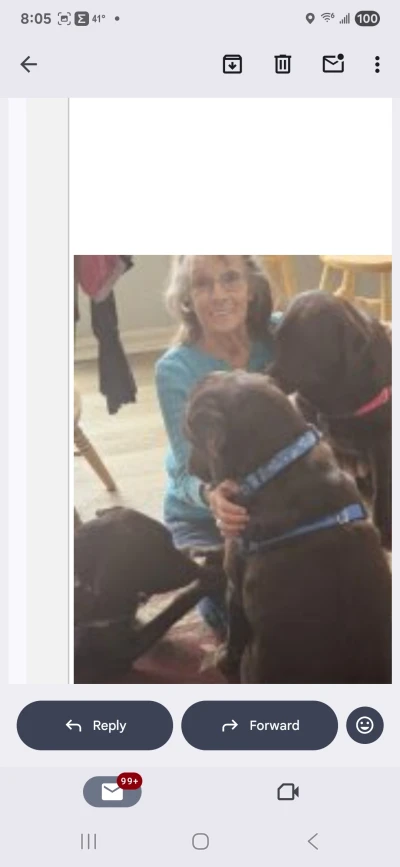Best Friends Dog Training Behavior And Evaluations