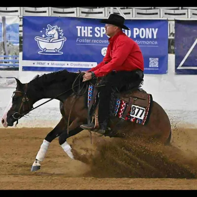 Wedel Perfomance Horses