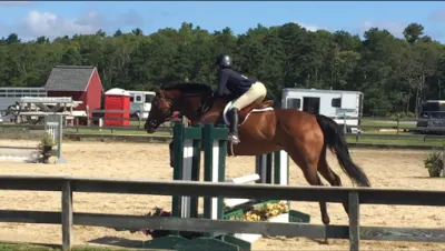 Hudson Derby Stables