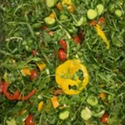 Ellen's Homestyle & BBQ Express, LLC
