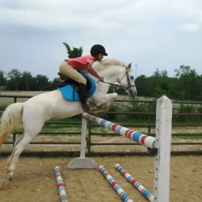 Sam Houston Equestrian Center (previously Hermann Park Stables