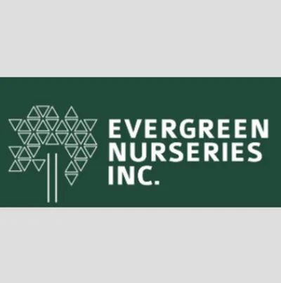 EVERGREEN NURSERY INC