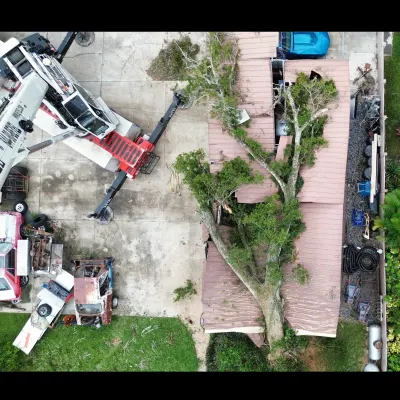 Big Mike's Tree Service