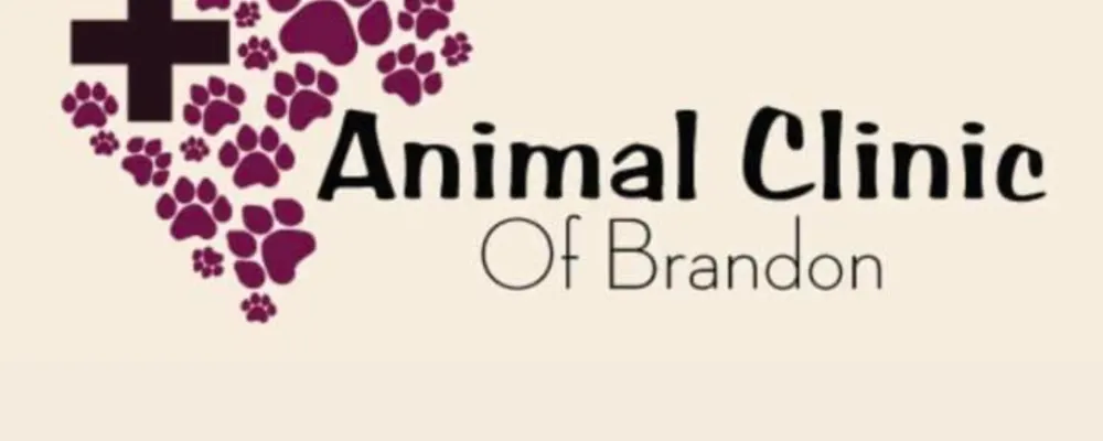 Animal Clinic Of Brandon