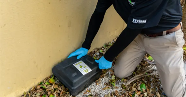 Rodent Control