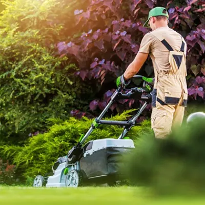 Mow/Blow/edge/and Go..Trash Hall Services...