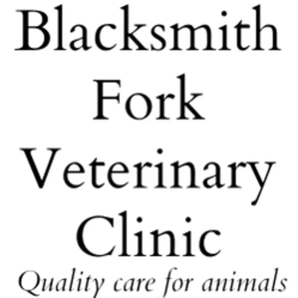 Blacksmith Fork Veterinary Clinic