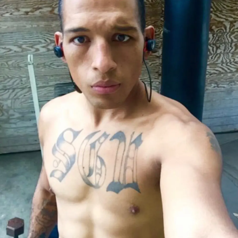 Fight School