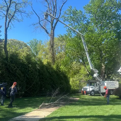 Greenlight Landscaping, Corp.