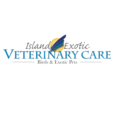 Island Exotic Veterinary Care