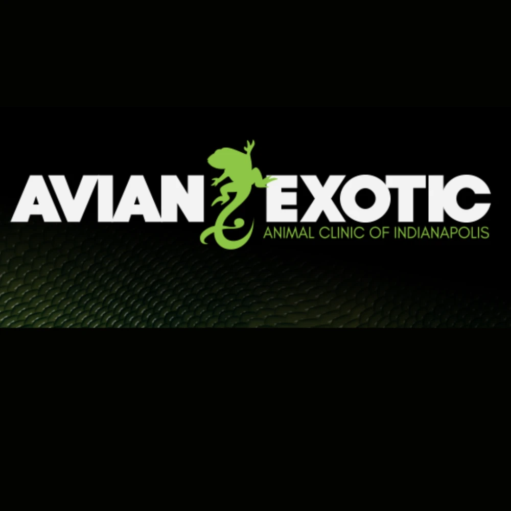 Avian & Exotic Animal Clinic